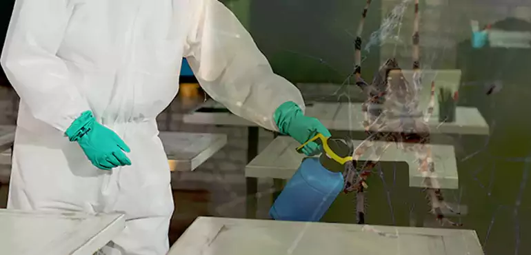 Why Buyers Still Want Homes With Pest Infestations in Chicago, IL?