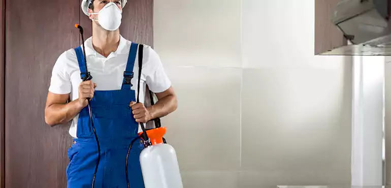 Why Chicago Homeowners Choose Us When Pests Make Selling Difficult