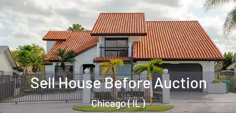  Sell House Before Auction Chicago ( IL )
