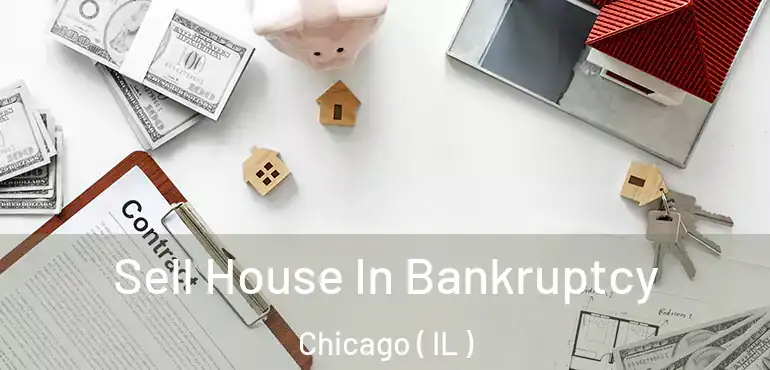  Sell House In Bankruptcy Chicago ( IL )
