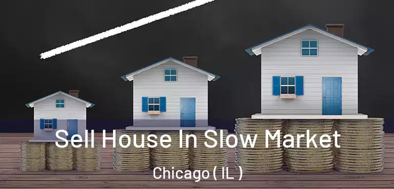  Sell House In Slow Market Chicago ( IL )