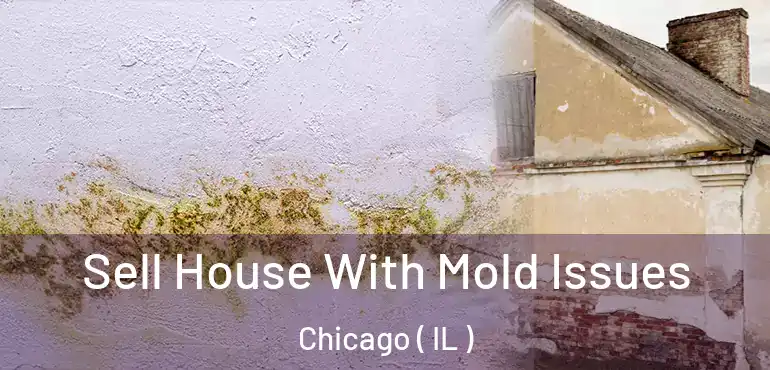  Sell House With Mold Issues Chicago ( IL )